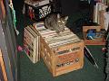 Record guard